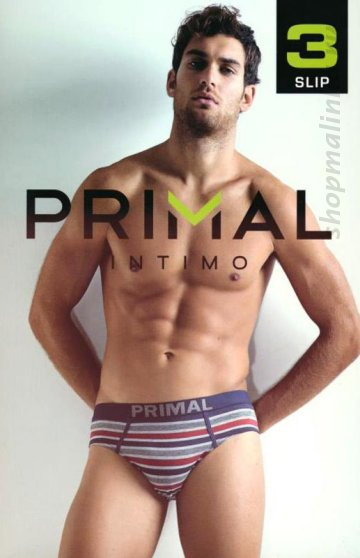 Трусы слипы S217-3 шт