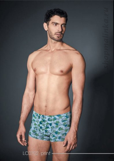 Трусы боксеры (шорты) LC0702