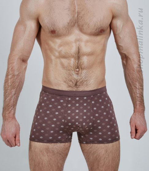 Трусы боксеры (шорты) SD2036-1
