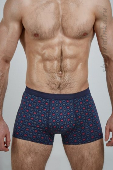 Трусы боксеры (шорты) SD2036-2