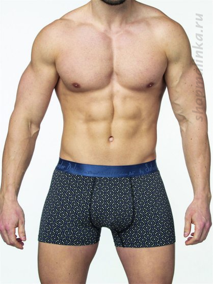 Трусы боксеры (шорты) SD2050-1
