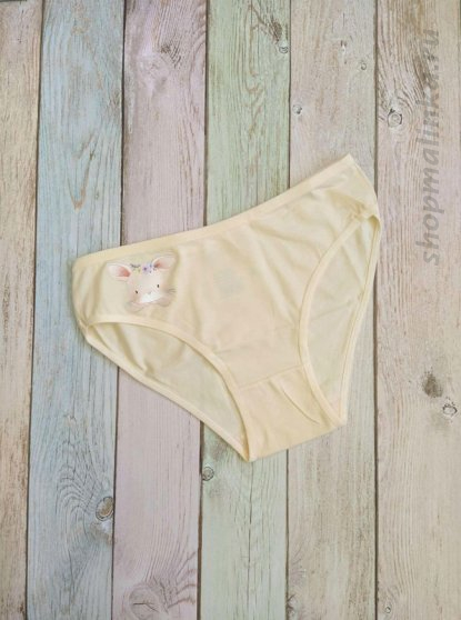 Трусы слипы 1548