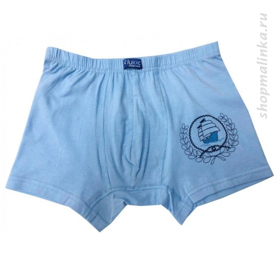Трусы для мальчика 2418501