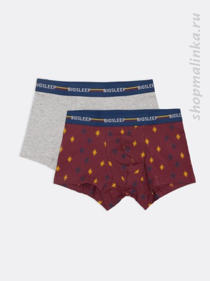 Трусы боксеры (шорты) 411124-2 (2 шт.)