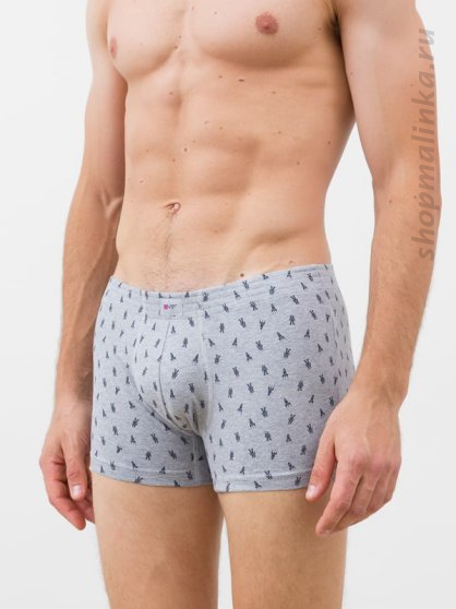 Трусы боксеры (шорты) 411130