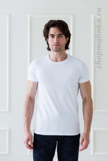 Футболка мужская M270