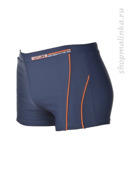 Плавки мужские Adoreswim 856