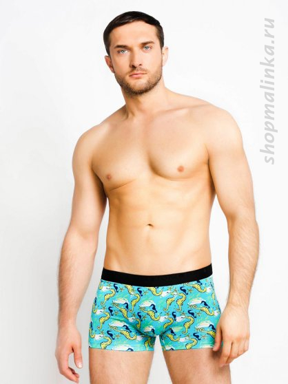 Трусы боксеры (шорты) TMX3267