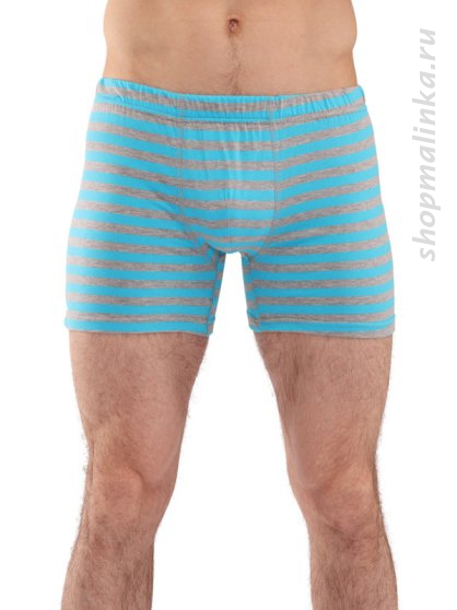Трусы боксеры 20962