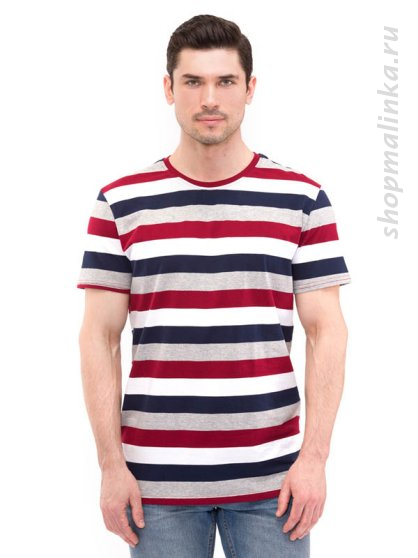 Футболка мужская 20061-12