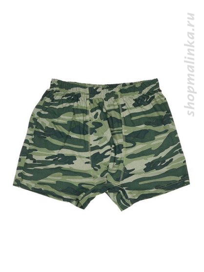 Трусы боксеры (шорты) 20130-8