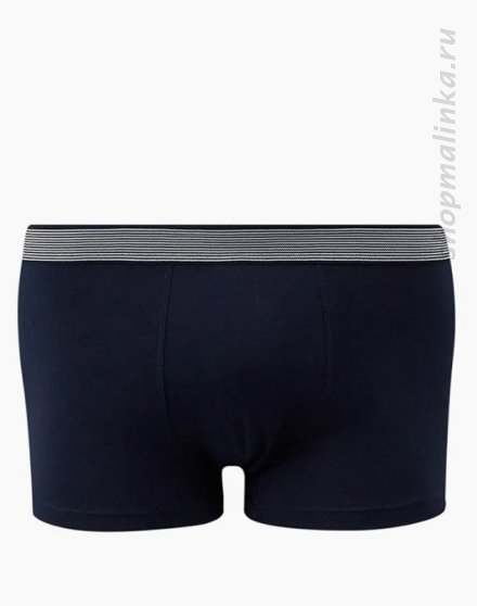 Трусы боксеры (шорты) Boxer EV Planet