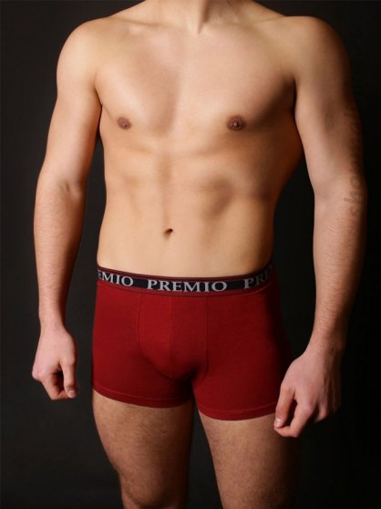 Трусы боксеры (шорты) PX 005