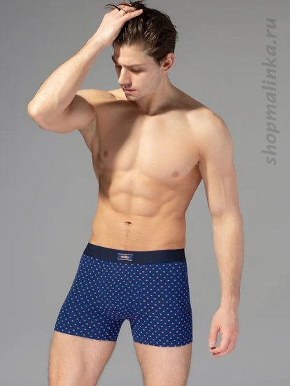 Трусы боксеры (шорты) OmS 1234 rango