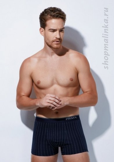Трусы боксеры (шорты) B289-3шт