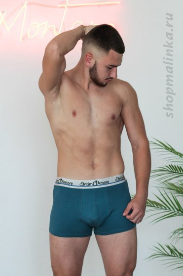 Трусы боксеры (шорты) UBX-81