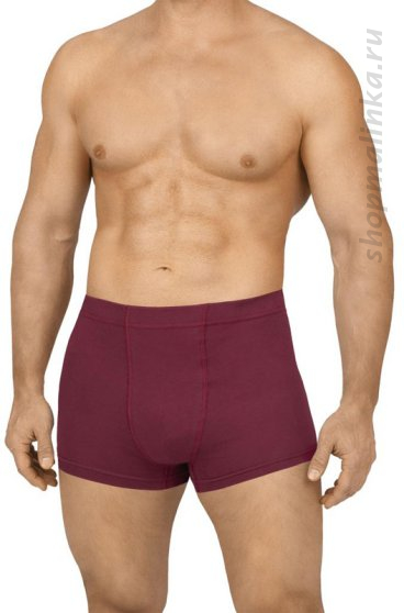 Трусы боксеры (шорты) B3004