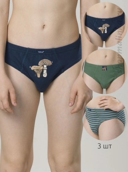 Трусы для мальчика BULB4303-3