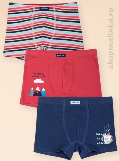 Трусы для мальчика BUHB3339-3