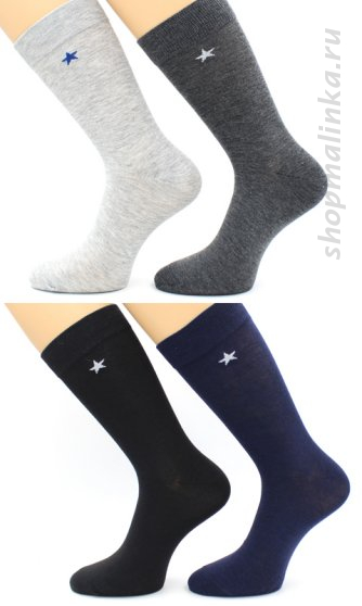 Носки классические Нм060-5