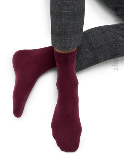 Носки классические Style 513