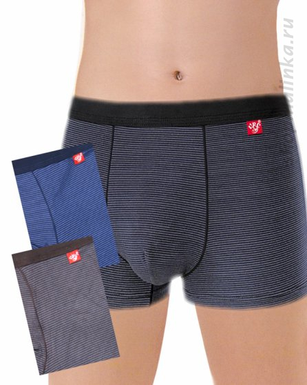 Трусы боксеры (шорты) V1-209B