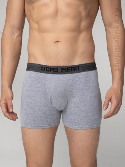 Трусы боксеры (шорты) FH-027