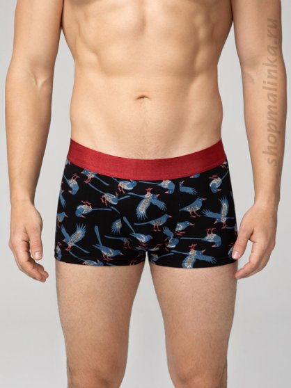 Трусы боксеры (шорты) FH-053