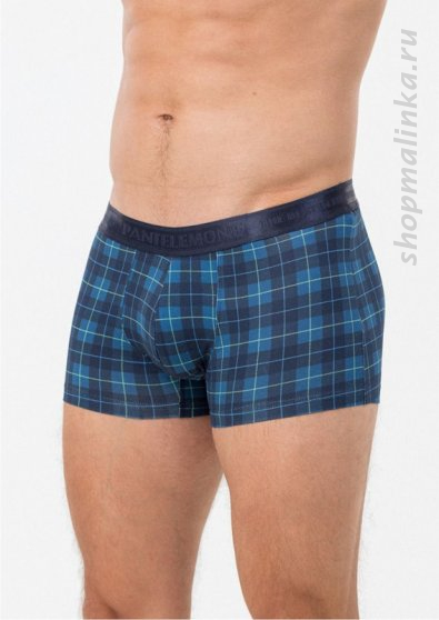 Трусы боксеры (шорты) PMH-1504