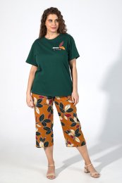 Комплект домашний Арника-2