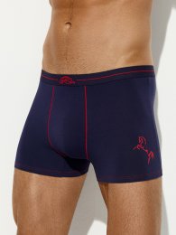 Трусы боксеры (шорты) OmU 1234-25B Style