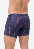 Трусы боксеры (шорты) PMHL-1476